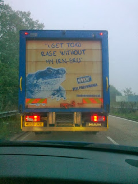 How many & what handbags do you have?