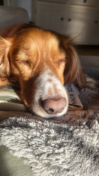 May Starters Thread 3 ~ Onwards & Downwards!