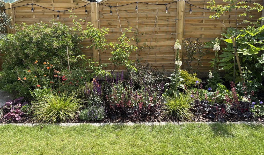 Please tell me how to arrange my border!
