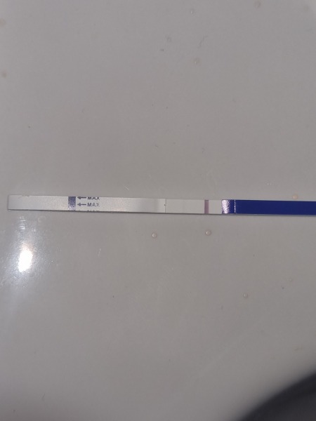 Pregnancy test