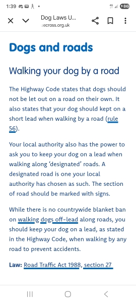 Your dog is not bomb proof