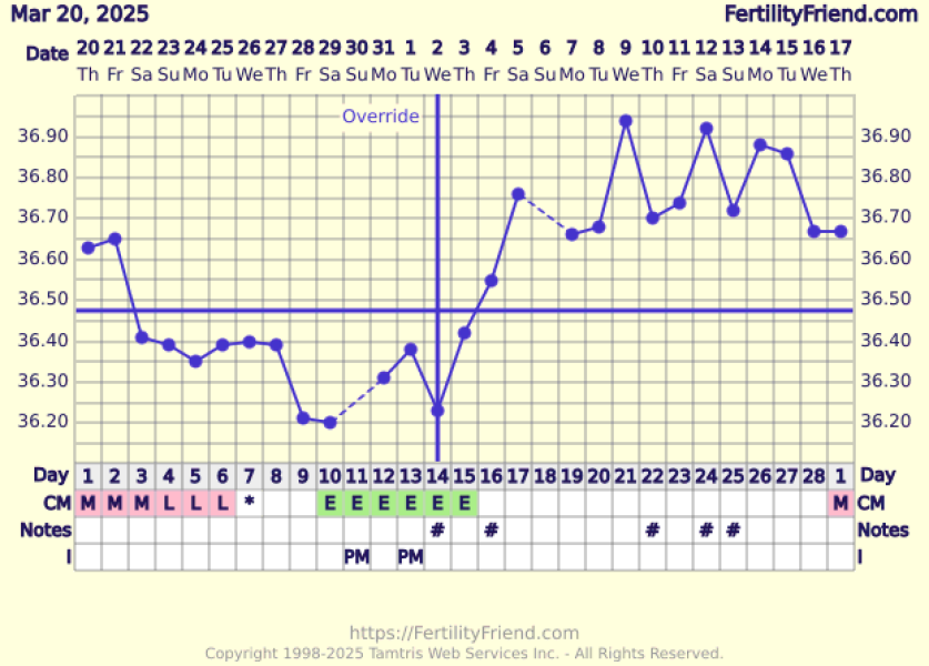 At least we avoided Christmas babies!