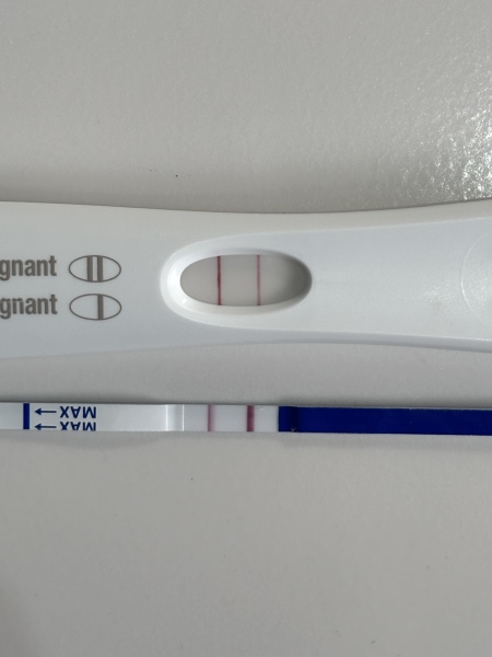 Due February 2026 ✨