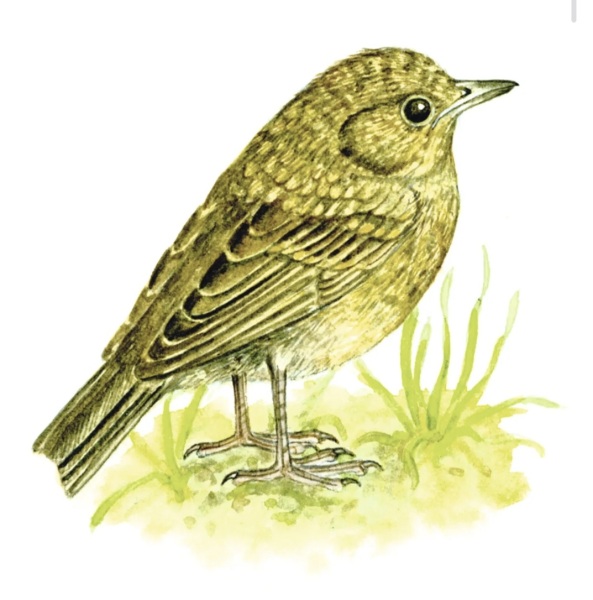 Thread 17 - TalkLair: "Okay, first of all, what's with the outfit? Live in the now, okay? You look like DeBarge."