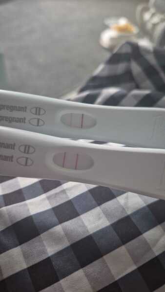 Due February 2026 ✨