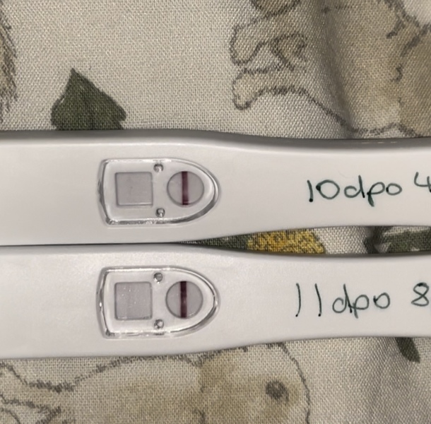 JUNE 2025 Trying To Conceive Thread