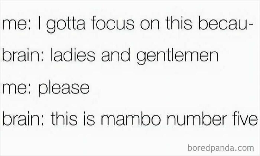 This made me howl laughing.  Anyone else heard a funny joke or seen a funny meme?