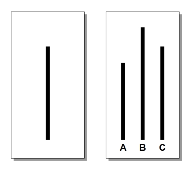 Do you ever feel wrong about being gender critical? Plus poll on political view.