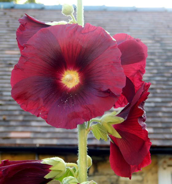 Thread 17 - TalkLair: "Okay, first of all, what's with the outfit? Live in the now, okay? You look like DeBarge."