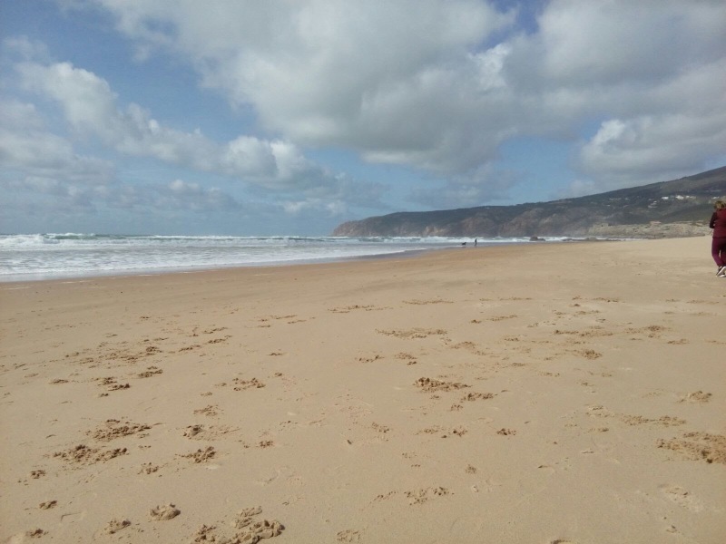 Come and tell us your dull and unexciting news 34: Calmly through the day