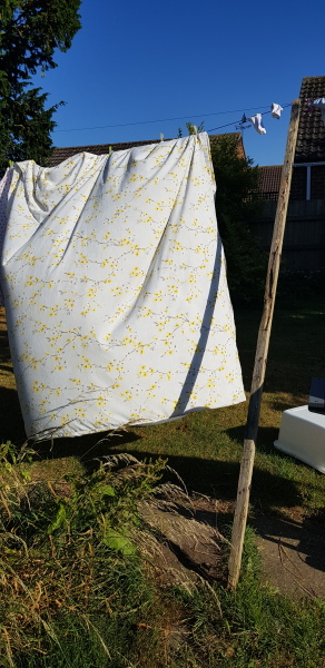 Washing line props