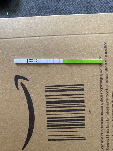 Ovulation test strips