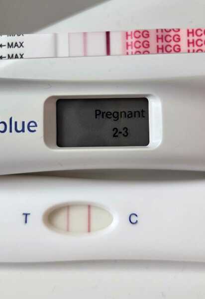Due February 2026 ✨
