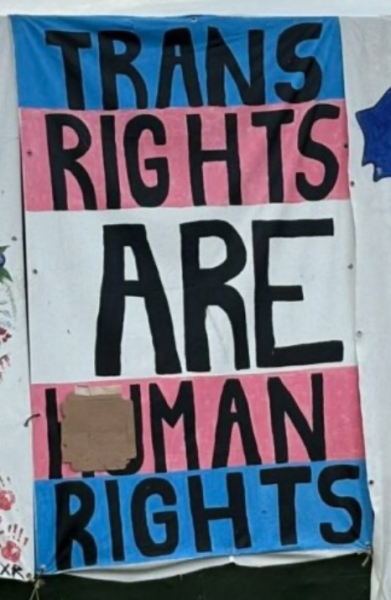 Wow. Have you seen all the Pride and Trans flags flying in the audiences at Glastonbury?