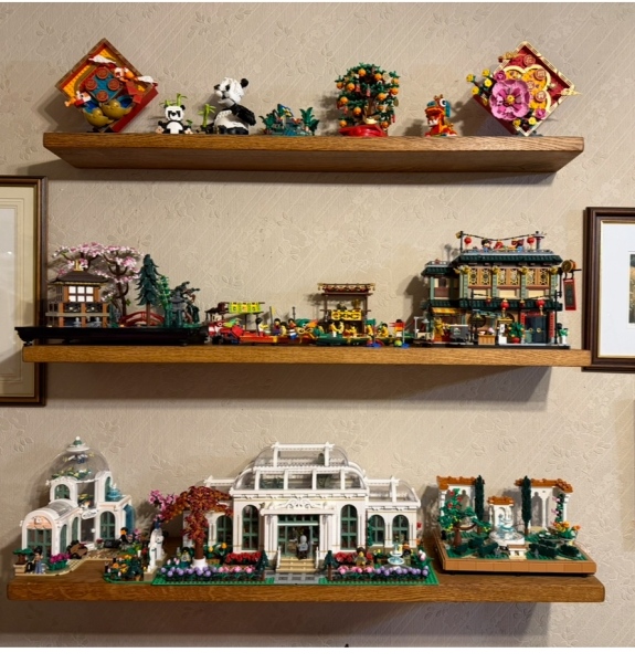 To show me your Lego collection?