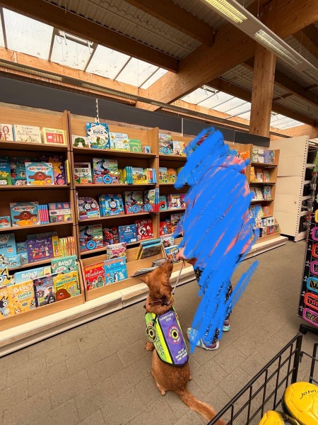 I don’t know if anyone remembers but UPDATE re assistance dog in training
