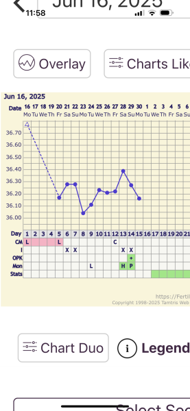 Should my temp dip/peak?
