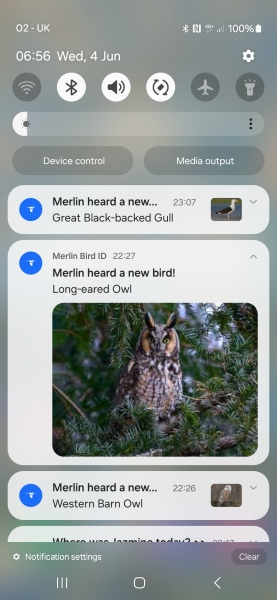 Merlin App Appreciation plus General Birding Chat
