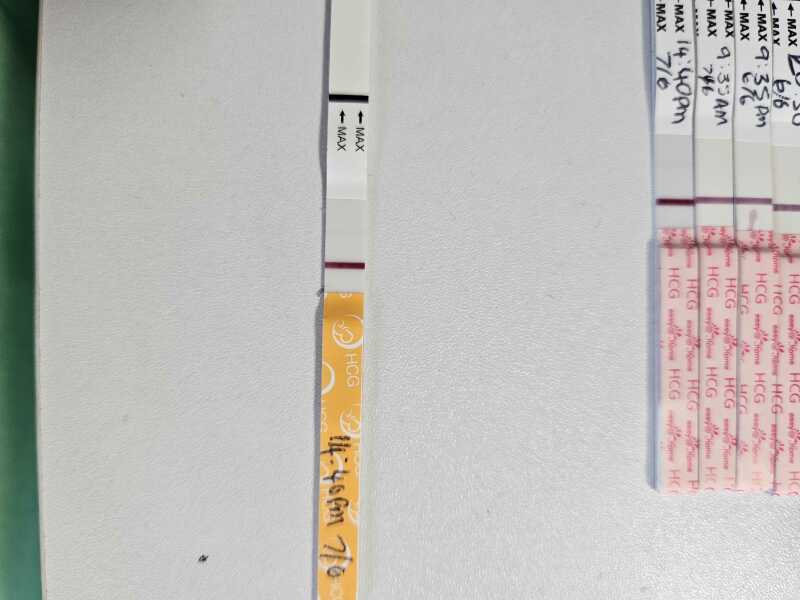 Clear blue vs frer.