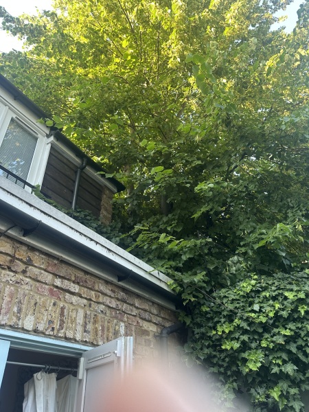 Cost of fighting tree problem