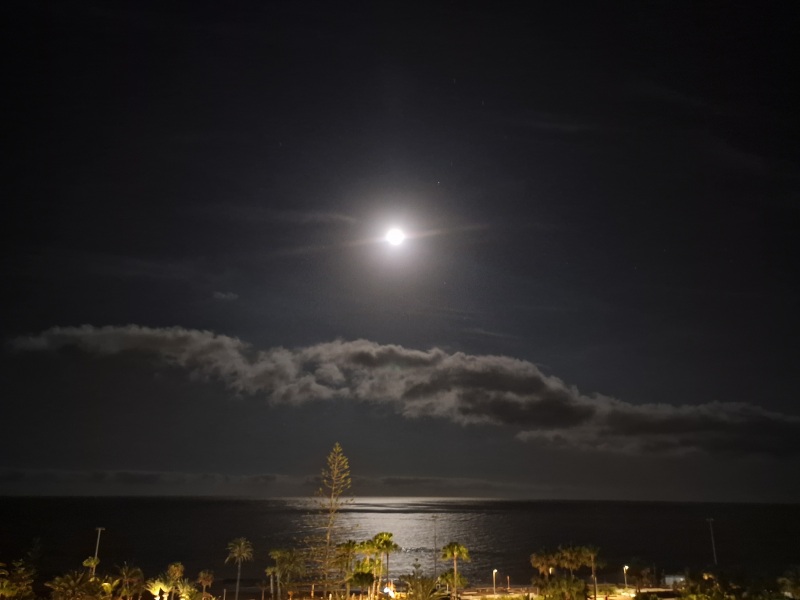 The Bluestocking Women’s Pub - Where Everybody Knows Your Username
