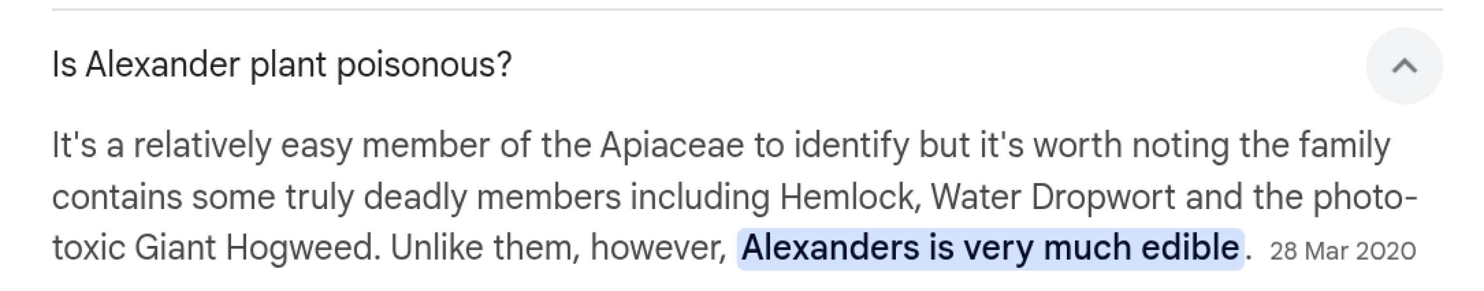 The Bluestocking Women’s Pub - Where Everybody Knows Your Username