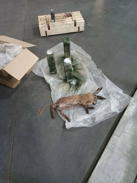 Ukraine Invasion: Part 57