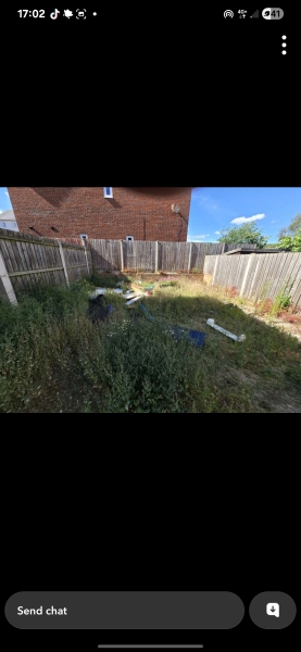 What have you done in the garden today? Part 7