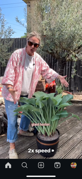 Spanish market jacket - help!
