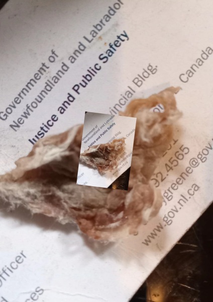 Advice please -Miscarrying? *graphic warning*