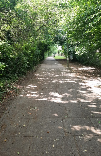 Bicycles on pavements - why are they not being ridden on a road?