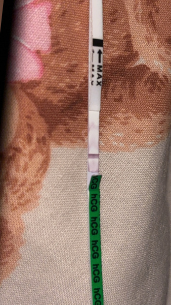 Pregnancy test help!