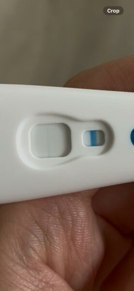 Pregnancy Test
