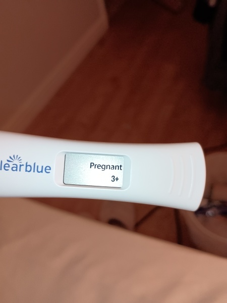 Due February 2026 ✨
