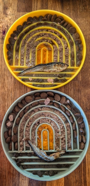 Adolescent Dog Survival Thread - for teenage dirtbags