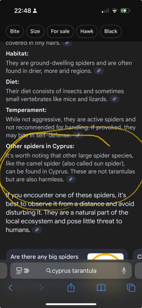 To burn the villa down