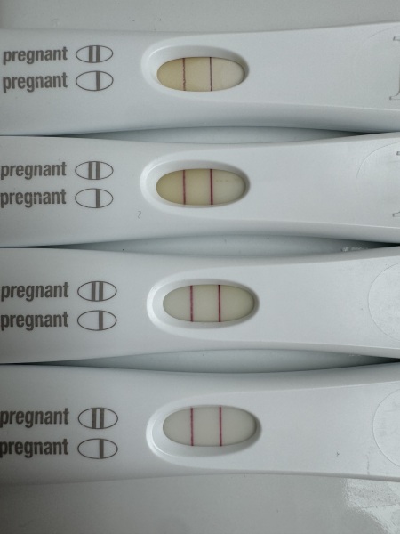 FRER lines have stalled