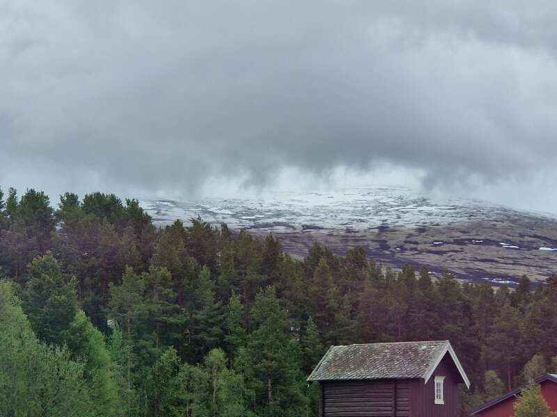 Year round Nigel Slater discussion thread Part 2