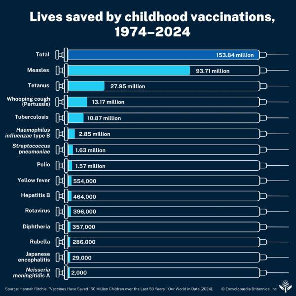 Thoughts on the 1 year vaccinations please ?