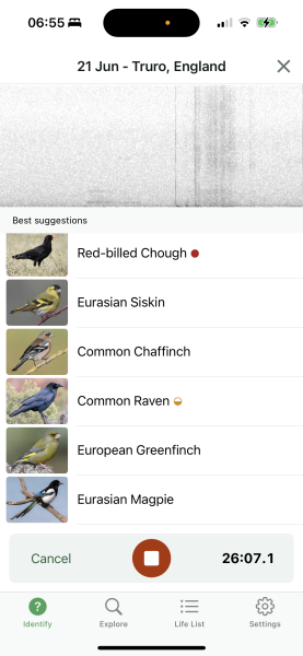 Merlin App Appreciation plus General Birding Chat