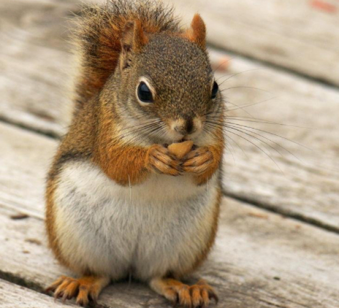 Stephen Fry - What a repulsive, condescending misogynistic turd