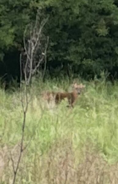 Thread 25 Starmer - Cheers for a falling out among thieves