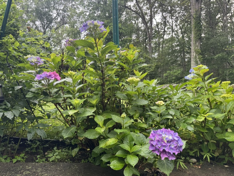 Come and tell us your dull and unexciting news 33: Calmly through the day