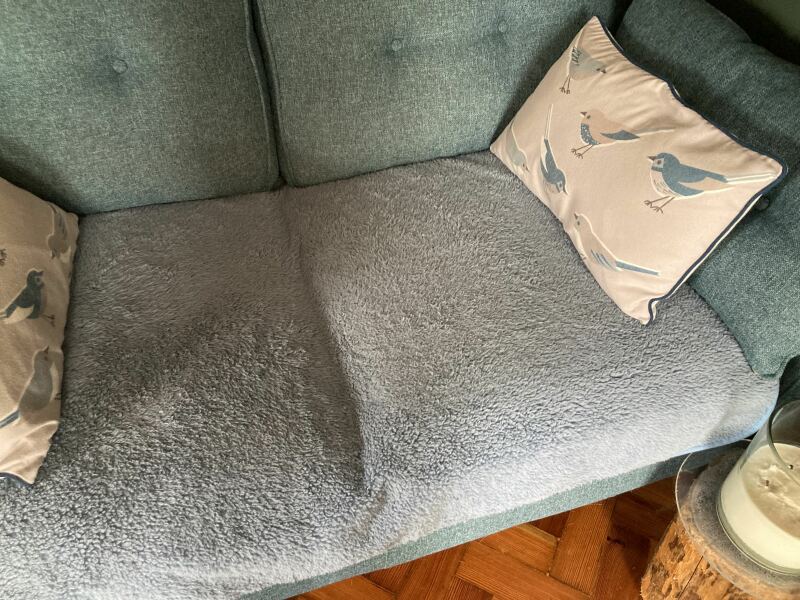 Best dog covers for sofa