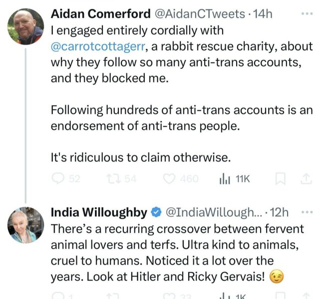 To be oblivious to the issue people have with JKR?  I thought she was a feminist.  What have I missed?