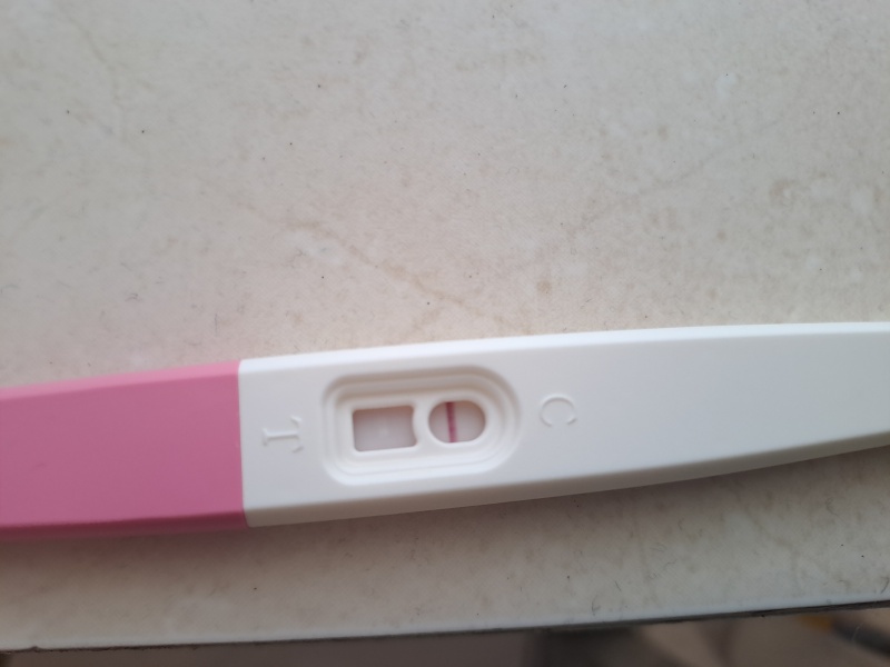 Is this pregnant?