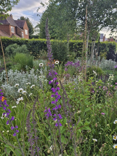 Weeds Have Rights Too !