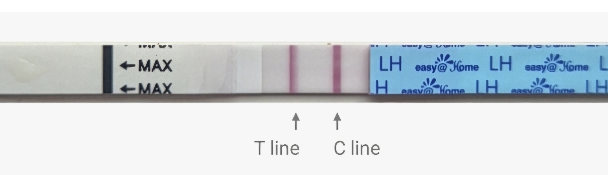 In the dreaded 2 week wait