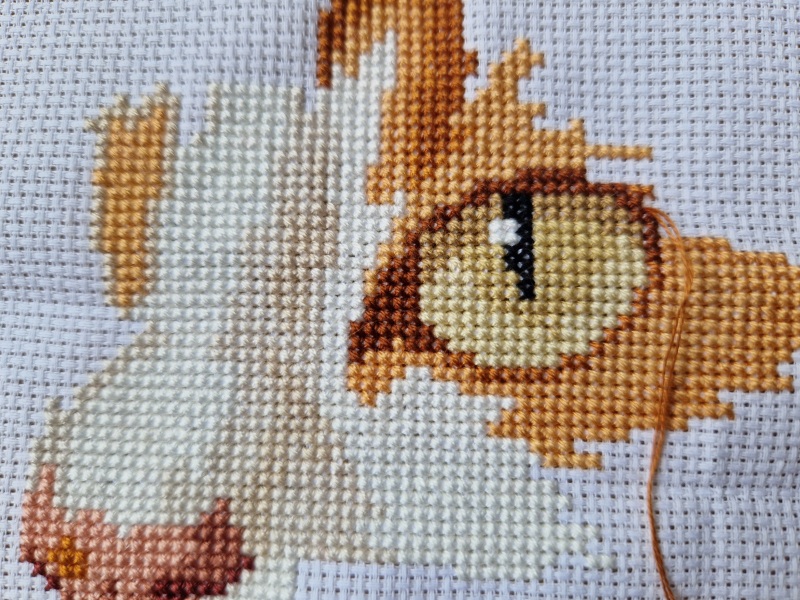 Roond and roond and up and doon - the Excellent Cats roam aboot