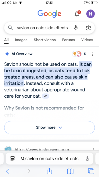What's wrong with my cat.